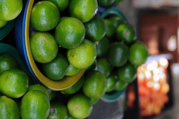 mueren campesinos por explosivos enterrados en michoacán