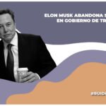 elon musk anuncia su renuncia al gobierno de donald trump