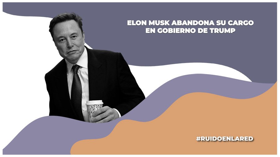 elon musk anuncia su renuncia al gobierno de donald trump