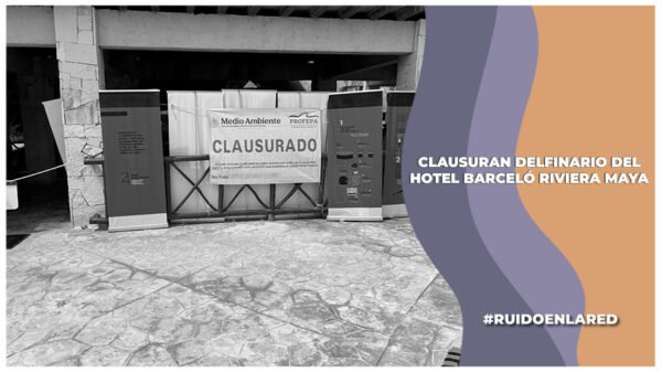 profepa clausura el delfinario del hotel Barceló Riviera Maya