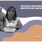 Diputada del PT pide renuncia del titular del IMSS Bienestar, Alejandro Svacrh
