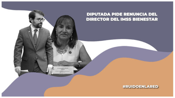 Diputada del PT pide renuncia del titular del IMSS Bienestar, Alejandro Svacrh