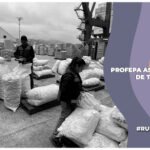 Autoridades federales aseguran más de dos toneladas de aletas de tiburón en Ensenada, Baja California