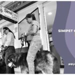 La primera sucursal veterinaria de Dr. Simi: SimiPet Care