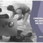 Denuncian cercenamiento de perros en la Unidad de Control y Bienestar Animal Ixtapaluca, Edomex