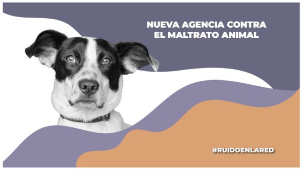 nueva agencia de investigacion del delito de maltrato o crueldad animal cdmx