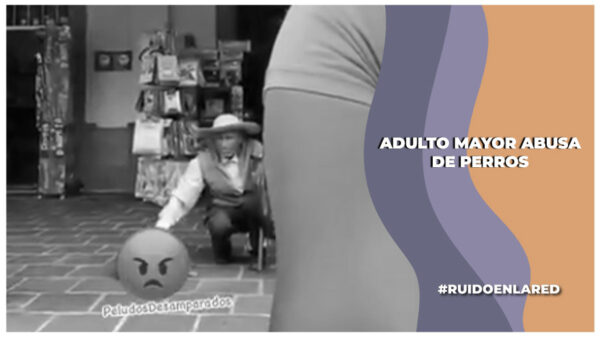 Adulto mayor presuntamente comete abuso sexual a perros en situación de calle en el Edomex