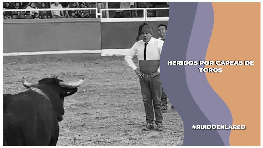 Taurinos piden ayuda económica para solventar gatos de un compañero herido durante capea