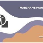 Marcha pacífica contra PAOT en CDMX por ineficacia en atender el maltrato animal