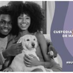 custodia animales de compañía cdmx