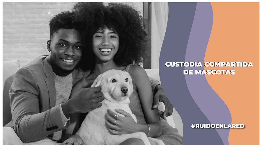 custodia animales de compañía cdmx