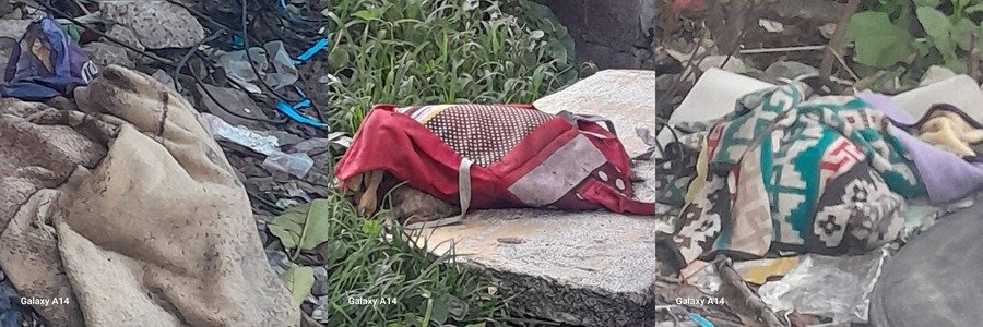 Detienen a persona en situación de calle por el delito de crueldad animal en Ixtapaluca, Edomex. Vecinos y asociación denunciaron el caso