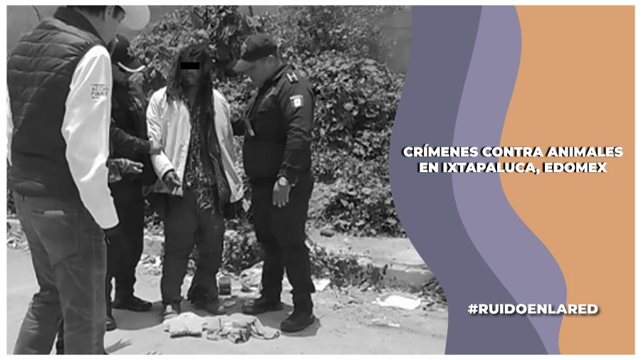 Detienen a persona en situación de calle por el delito de crueldad animal en Ixtapaluca, Edomex