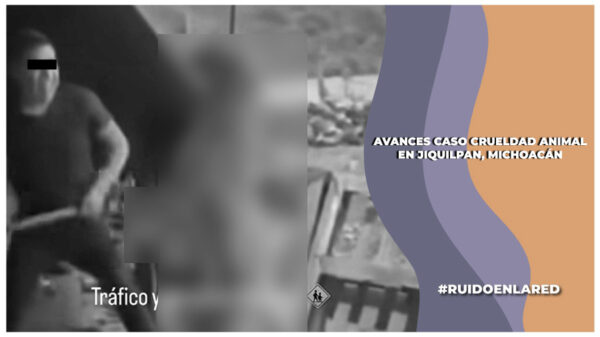 FGE vincula a proceso a un implicado en el asesinato de un perro en Jiquilpan, Michoacán. Dos menores fueron turnados a una Fiscalía Especializada