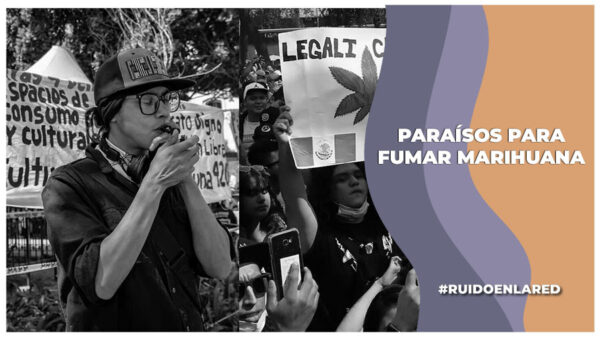 Nuevos paraísos de marihuana ¿donde se encuentran?