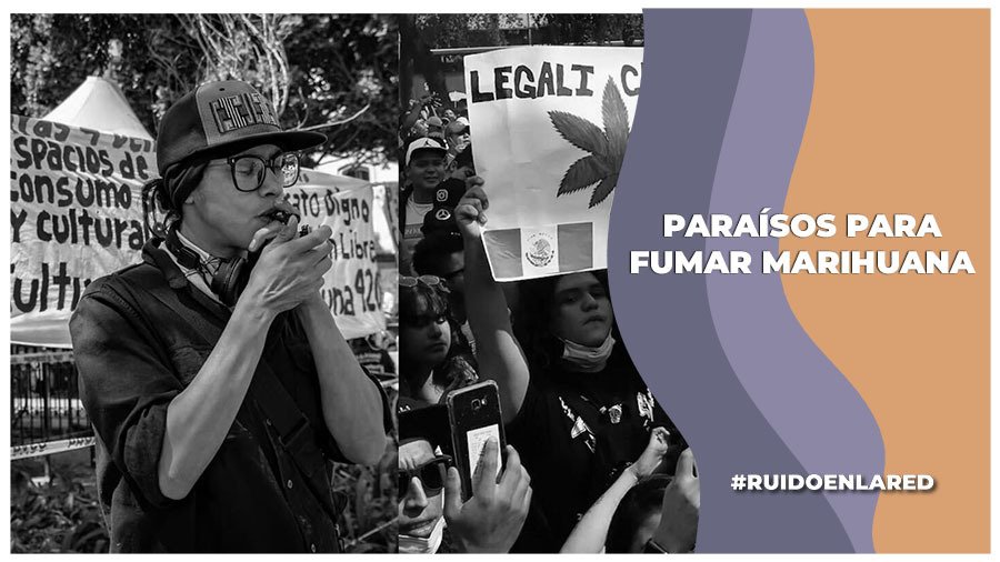 Nuevos paraísos de marihuana ¿donde se encuentran?