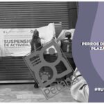 ¿Qué pasó con los perros de Petland en Plaza Mitikah? Autoridades no responden