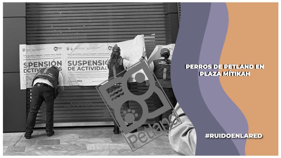 ¿Qué pasó con los perros de Petland en Plaza Mitikah? Autoridades no responden