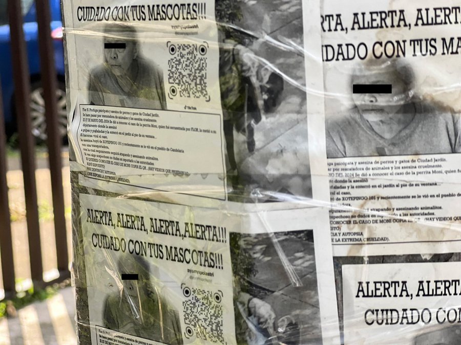 Vinculan a proceso a adulta mayor por el asesinato de una perrita en CDMX ; su proceso será en libertad