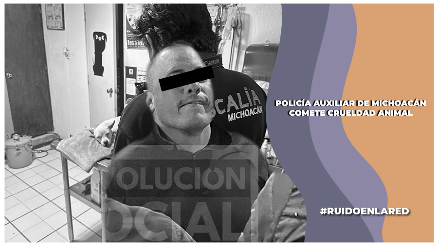 Investigan y dan de baja a policía de Michoacán por crueldad animal