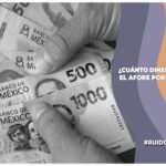 Imagen para nota de ¿Cuánto dinero te dan en el Afore por desempleo?