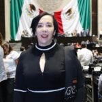 Foto de la diputada federal de Morena Araceli Brown