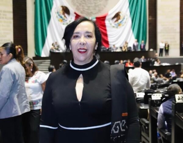 Foto de la diputada federal de Morena Araceli Brown