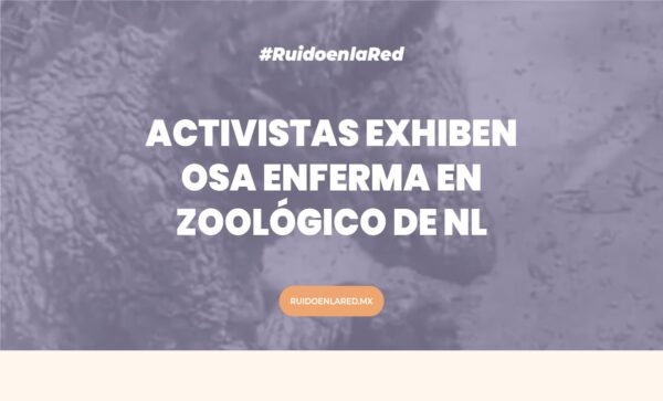 Imagen de la osa mina