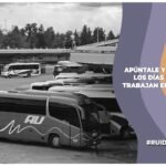 Imagen para nota de Septiembre 2025: días festivos, puentes y flores amarillas