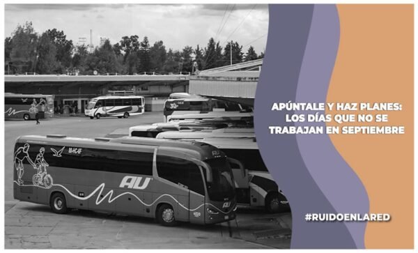 Imagen para nota de Septiembre 2025: días festivos, puentes y flores amarillas