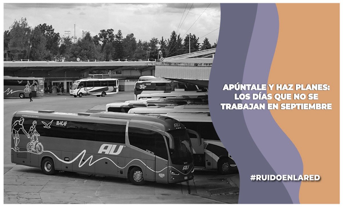 Imagen para nota de Septiembre 2025: días festivos, puentes y flores amarillas