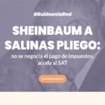 Foto para nota de sheinbaum y salinas pliego