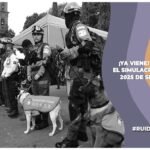 Imagen para nota del simulacro nacional de septiembre de 2025