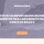 foto del delfín muerto tras lanzamiento del cohete de Space X