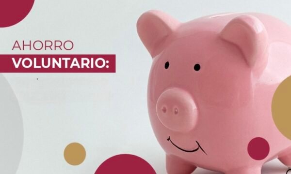 gráfico de Afore Aportaciones Voluntarias