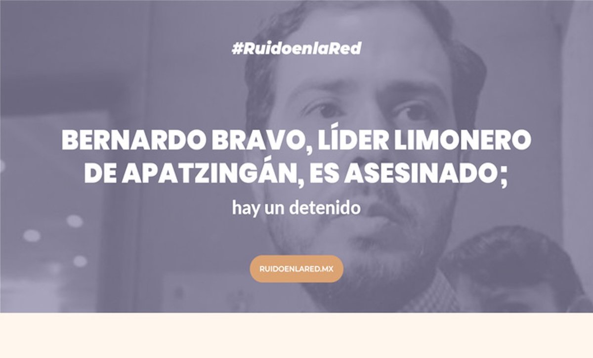 foto para nota de bernardo bravo