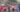 Bloqueo de la CNTE en Edomex y CDMX hoy