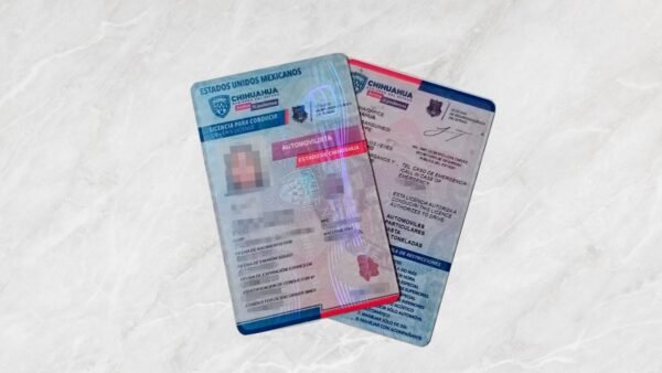 Licencia digital Chihuahua