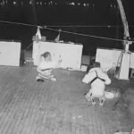 Imagen para nota de la Global Sumud Flotilla