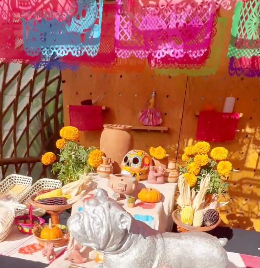 ofrenda mascotas día de muertos