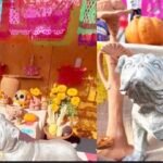 ¿Cuándo llegan los perritos, gatos y otras mascotas por el Día de Muertos? ¿Qué día se pone la ofrenda?