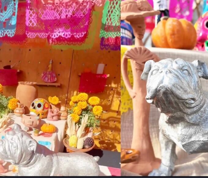 ¿Cuándo llegan los perritos, gatos y otras mascotas por el Día de Muertos? ¿Qué día se pone la ofrenda?