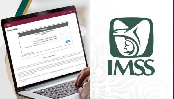 Tarjetón Digital del IMSS