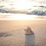 1 de diciembre de 2025 feriado