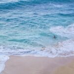 El 12 de diciembre de 2025 festivo