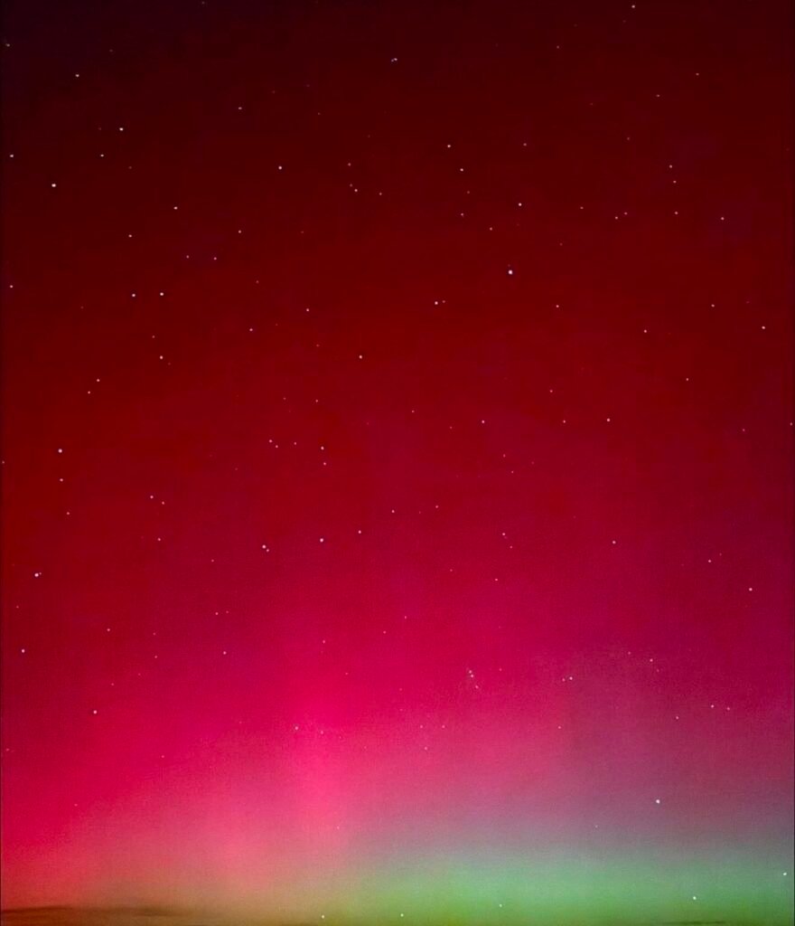 foto de autoras boreales en garcía