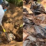 fotos de las fosas del estadio akron
