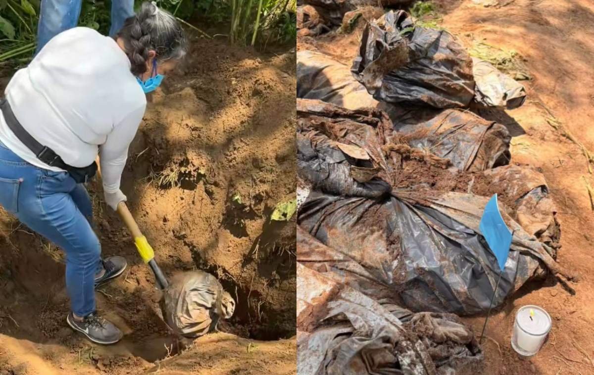 fotos de las fosas del estadio akron