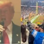 foto de trump y los abucheos en el partido de la NFL