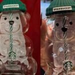 vaso oso bearista starbucks méxico
